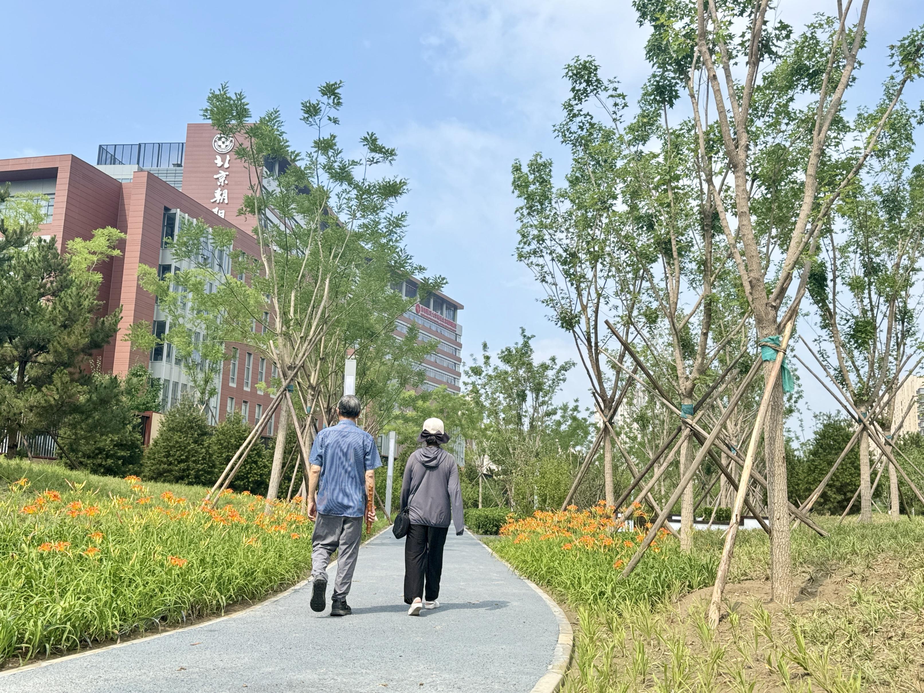 常营附近新添一个口袋公园 常营附近新添一个口袋公园