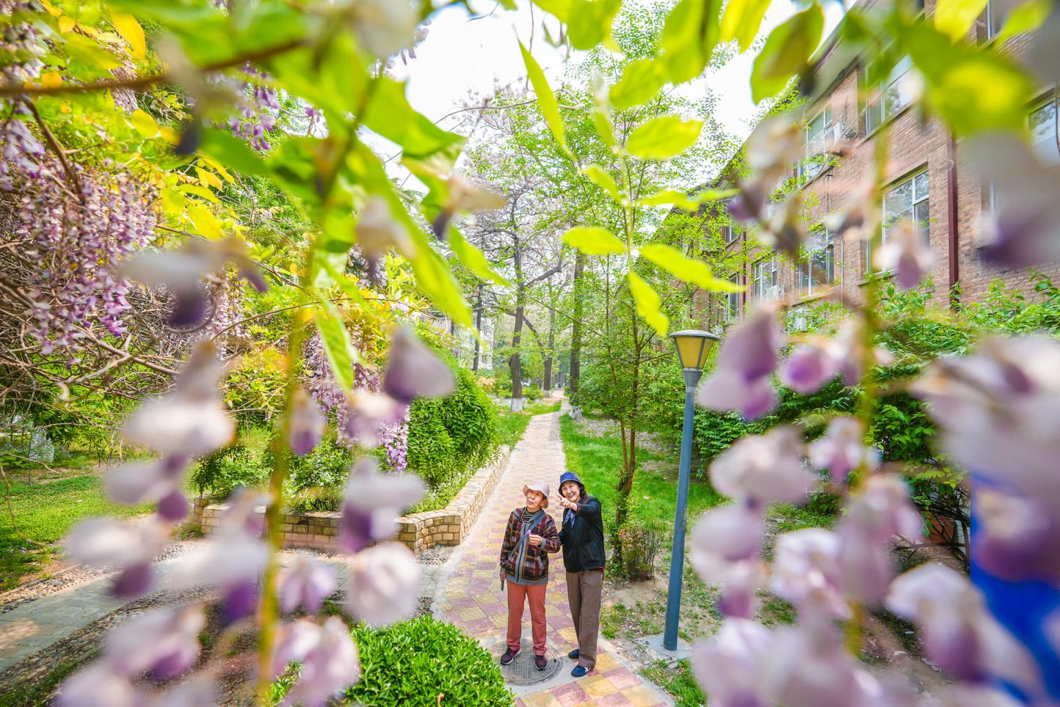 建研院小区内的共享花园 建研院小区内的共享花园