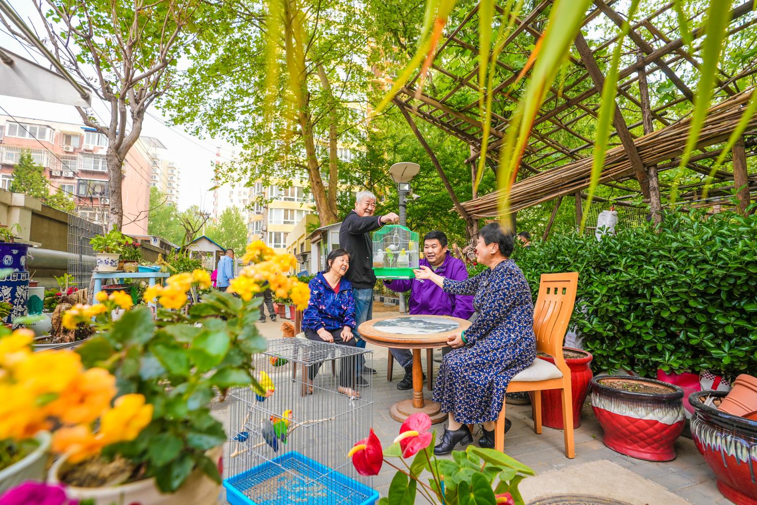 胜古北里24号楼前,老街坊们在共享花园一角聊天休憩 胜古北里24号楼前,老街坊们在共享花园一角聊天休憩