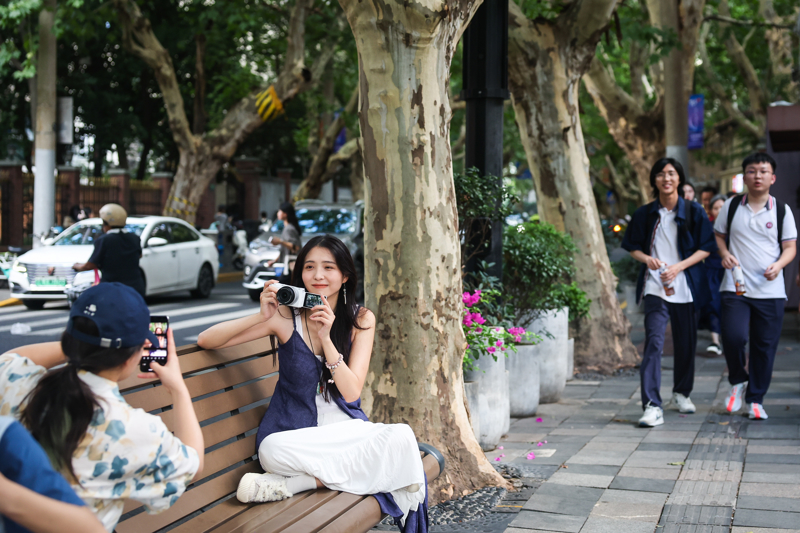 愚园路上的公共座椅 愚园路上的公共座椅