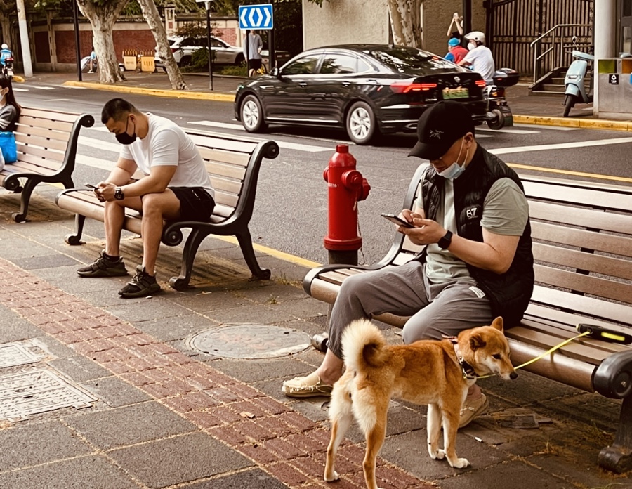 愚园路上的公共座椅 愚园路上的公共座椅