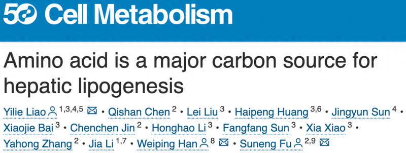 氨基酸在肝脏脂肪生成中的重要作用,并提出了脂肪肝的干预新措施 氨基酸在肝脏脂肪生成中的重要作用,并提出了脂肪肝的干预新措施