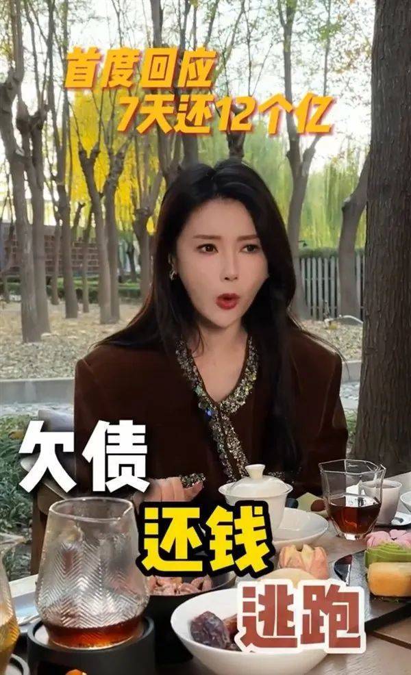 贾跃亭前妻甘薇回应“7天还12亿” 2.jpg 贾跃亭前妻甘薇回应“7天还12亿” 2.jpg