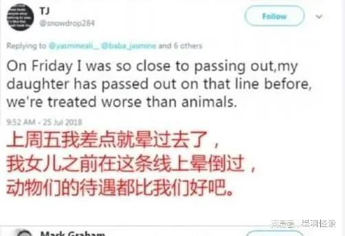 而英国人在网上这么说的:动物的待遇都比我们好吧 而英国人在网上这么说的:动物的待遇都比我们好吧